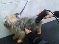 /album/fotogaleria/vnv-2013-03-19-13-27-24-jpg/